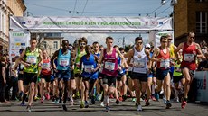 V Pardubicích se o víkendu konal už tradiční vinařský půlmaraton. Počasí, které... V Pardubicích se o víkendu konal už tradiční vinařský půlmaraton. Počasí, které...