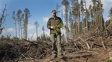 Na místě hustého lesa zůstává v revíru nové Vrbno na Vítkovsku jen pár... Na místě hustého lesa zůstává v revíru nové Vrbno na Vítkovsku jen pár...