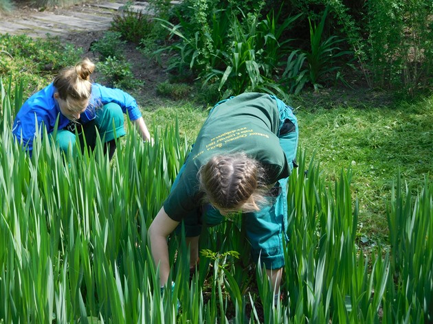 Školní botanická zahrada
