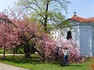 Vojanovy sady Vojanovy sady