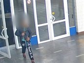 Zloděj v Chebu strhl turistce z ramene kabelku Zloděj v Chebu strhl turistce z ramene kabelku