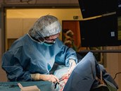 Implantace defibrilátoru