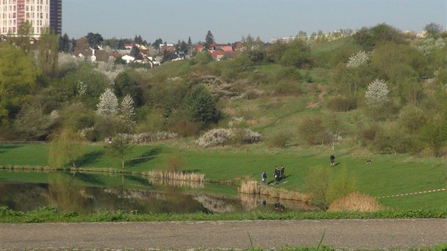 Mu se utopil pi plavn v rybnce v Prokopskm parku. (20.4.2018)