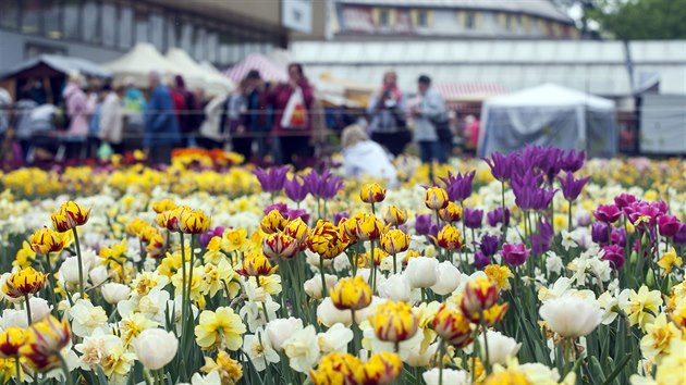 Na olomouckm vstaviti zaala ve tvrtek jarn etapa mezinrodn vstavy Flora, kter letos slav edest let od svho vzniku.