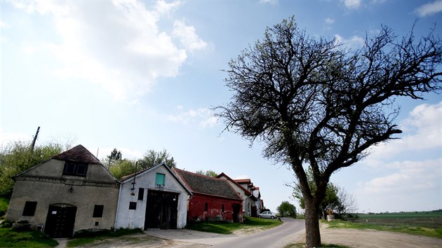 Na zdech sklep v Novm aldorf u Znojma jsou dobe vidt praskliny. Co je pinou, na tom se vinai a veden obce neshodnou.