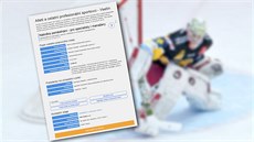 Pracovní nabídka vsetínského Úřadu práce na pozici hokejového gólmana. Pracovní nabídka vsetínského Úřadu práce na pozici hokejového gólmana.