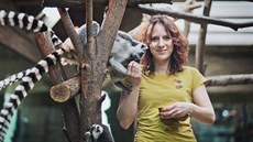 Do výběhu k lemurům mohou ošetřovatelé primátů v plzeňské zoo vejít bez obav. Do výběhu k lemurům mohou ošetřovatelé primátů v plzeňské zoo vejít bez obav.