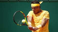 Rafael Nadal v zápase s Grigorem Dimitrovem. Rafael Nadal v zápase s Grigorem Dimitrovem.