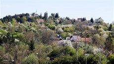 K oblasti Červeného kopce v Brně nyní patří stejnojmenná národní přírodní... K oblasti Červeného kopce v Brně nyní patří stejnojmenná národní přírodní...