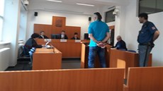 Předseda Senátu Roman Drahný přistupuje k výslechu Martina Krpálka. Předseda Senátu Roman Drahný přistupuje k výslechu Martina Krpálka.