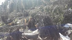 Stezka z Hamrů na Velký Ostrý na Šumavě musela být kvůli popadaným stromům... Stezka z Hamrů na Velký Ostrý na Šumavě musela být kvůli popadaným stromům...