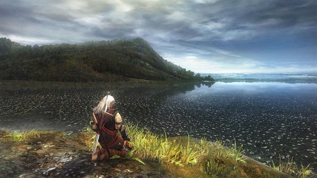 The Witcher The Witcher
