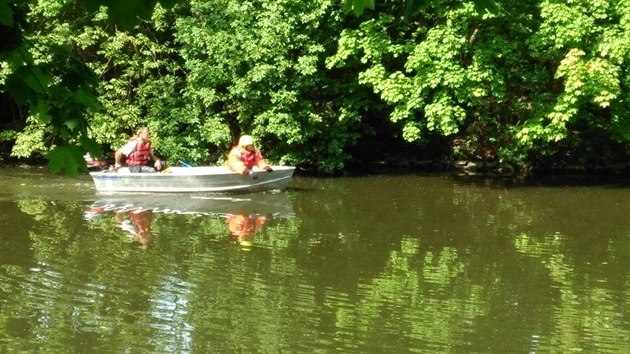Pes si hodinu zaplaval v řece Chrudimce než ho vylovili hasiči. Jeho majitelka za to platila pokutu.