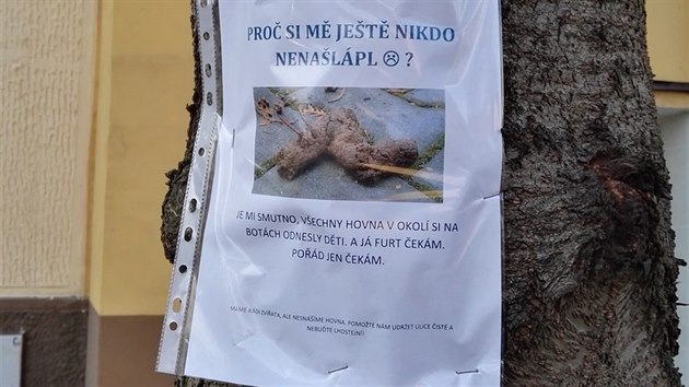 Cedulemi proti lnm pejskam v Praze 10.