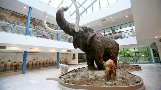 tymetrov mamut dominuje brnnskmu pavilonu Anthropos u od jeho oteven v roce 1962.