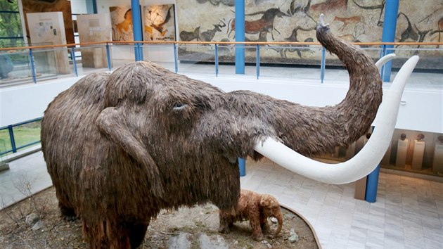 tymetrov mamut dominuje brnnskmu pavilonu Anthropos u od jeho oteven v roce 1962.