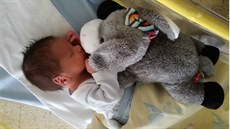 Plyšové zvířátko pomáhá usnout i chlapci, jehož se matka zřekla. Když dítě... Plyšové zvířátko pomáhá usnout i chlapci, jehož se matka zřekla. Když dítě...