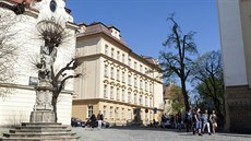 Během průzkumu na Michalském návrší v Olomouci (na snímku) objevili... Během průzkumu na Michalském návrší v Olomouci (na snímku) objevili...
