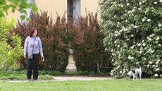 Venčení psů v parku V. Havla v Litoměřicích. Zanedlouho bude možné už jen s... Venčení psů v parku V. Havla v Litoměřicích. Zanedlouho bude možné už jen s...