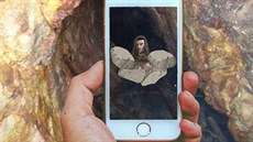 Hra je určena pro děti i dospělé a funguje v chytrých mobilních telefonech. Hra je určena pro děti i dospělé a funguje v chytrých mobilních telefonech.