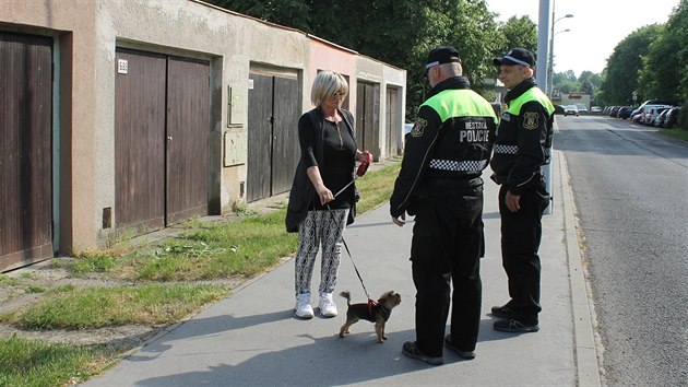 Strnk Marian Petrilka a jeho kolega Ji Vesel ve stedu vyrazili do ulic Litomic, aby zjistili, zda maj majitel ps sprvnou dlku vodtka.