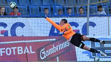 Brankář Teplic Tomáš Grigar inkasuje. Brankář Teplic Tomáš Grigar inkasuje.