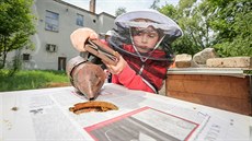 Do kroužku při ZŠ Vodňanská v Prachaticích chodí i třeťák Haštal Kulhánek. Do kroužku při ZŠ Vodňanská v Prachaticích chodí i třeťák Haštal Kulhánek.