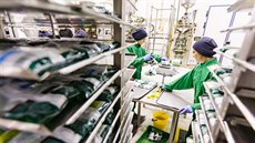 V květnu vrcholí sklizeň a zpracování špenátu na mražení. Společnost Agrimex,... V květnu vrcholí sklizeň a zpracování špenátu na mražení. Společnost Agrimex,...