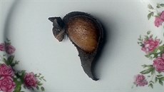Sapu Mhichā je gurmánskou kondenzovanou morkovou bombou. Sapu Mhichā je gurmánskou kondenzovanou morkovou bombou.