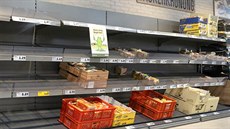 Prázdné regály v prodejně Penny v německém Hannoveru Prázdné regály v prodejně Penny v německém Hannoveru