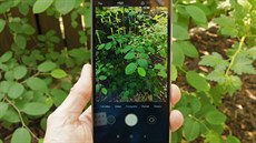 Xiaomi Redmi S2 Xiaomi Redmi S2