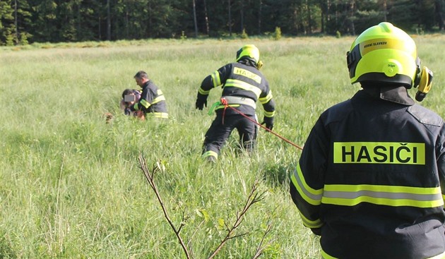 Hasii na Sokolovsku pomáhali en, která uvázla v raeliniti (25. kvtna...