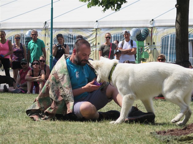 Bhejme a pomáhejme útulkm