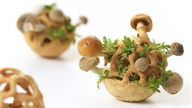 Vyuit novch technologi prezentuje designrka Chloe Rutzerveldov v projektu "Jedl rst". Uvnit tsta vytvoenho pomoc 3D tisku rostou jedl houby. 
