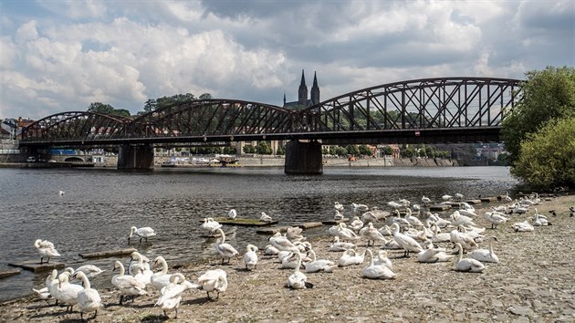 Železniční most spojující pražský Smíchov s Výtoní. (23. května 2018)