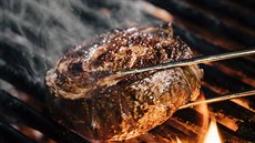 Oponka je vnitřní sval na bránici s dlouhým vláknem. Oponka je vnitřní sval na bránici s dlouhým vláknem.
