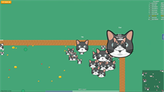 Catmouse.io Catmouse.io