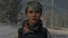 Detroit: Become Human Detroit: Become Human