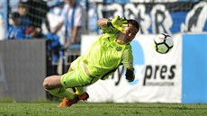 Liberecký brankář Filip Nguyen v akci Liberecký brankář Filip Nguyen v akci