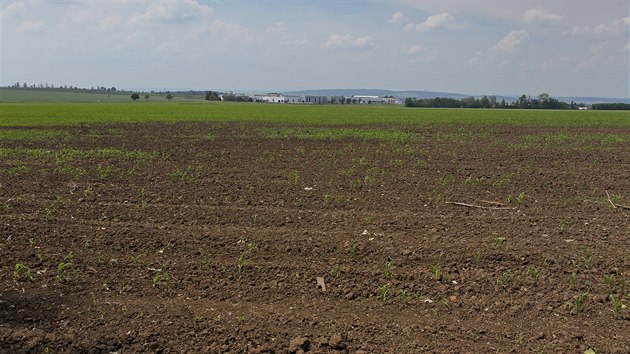 Pohled na pole u Hnvotna na Olomoucku pokrytch ornic s nejvy bonitou, kde m vzniknout strategick rozvojov zna.