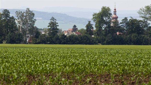 Pohled na pole u Hnvotna na Olomoucku pokrytch ornic s nejvy bonitou, kde m vzniknout strategick rozvojov zna.