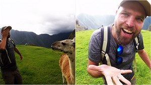 Kam v Peru? Za plivající lamou na Machu Picchu