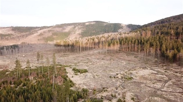 Dron nasnímal kůrovcovou zkázu v Jeseníkách Dron nasnímal kůrovcovou zkázu v Jeseníkách