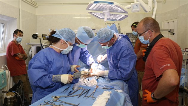 Nron gynekologick operace gorily Kamby probhla v nedli bez komplikac. (3. 6. 2018) 