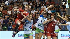 České házenkářky postoupily na mistrovství Evropy. České házenkářky postoupily na mistrovství Evropy.