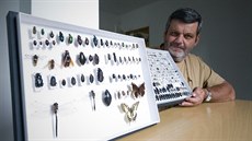 Podle entomologa Pavla Voničky už z luk mizí nejen motýli, ale i hmyzí druhy,... Podle entomologa Pavla Voničky už z luk mizí nejen motýli, ale i hmyzí druhy,...