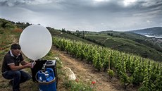 Vinaři z údolí Rhôny chystají balonky, které vystřelí do bouřkového mraku (30.... Vinaři z údolí Rhôny chystají balonky, které vystřelí do bouřkového mraku (30....