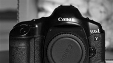 Poslední kinofilmová zrcadlovka společnosti Canon nese označení EOS-1V. Poslední kinofilmová zrcadlovka společnosti Canon nese označení EOS-1V.