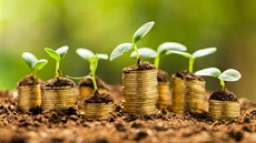 Volné finanční prostředky zhodnotíte v podílových fondech Volné finanční prostředky zhodnotíte v podílových fondech