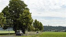 Pohled na poutní cestu lemovanou historickou alejí, která vede z Olomouce k... Pohled na poutní cestu lemovanou historickou alejí, která vede z Olomouce k...